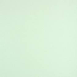 Lichtgrau 725105-167 MBAS-200 MY